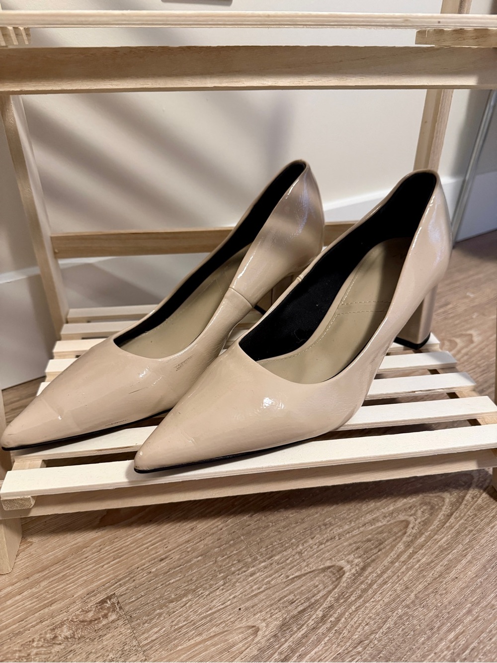 Zara Classic Pointed-Toe Pump in Nude